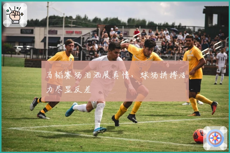 马韬赛场泪洒展真情，球场拼搏活力尽显反差