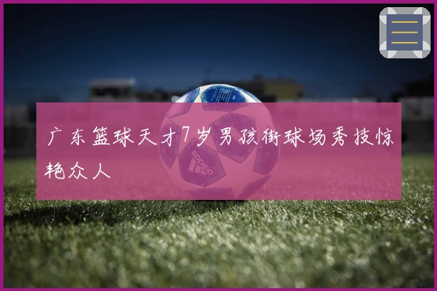 广东篮球天才7岁男孩街球场秀技惊艳众人
