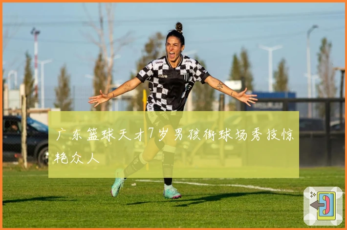 广东篮球天才7岁男孩街球场秀技惊艳众人