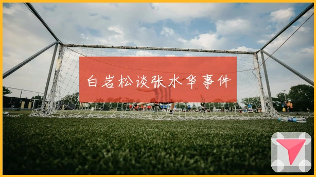 白岩松谈张水华事件