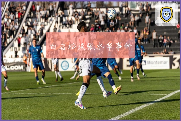 白岩松谈张水华事件